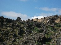 iara Scorciavacca-Eruzione 1651 20110213 021